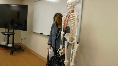 MCLA’s Radiology program is looking to expand their outreach into the North Adams community and also prepare students for careers in the field. (photo by Lily Richard)
