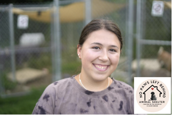 Noelle Howland, Chief Manager of No Paws Left Behind Animal Shelter in North Adams. 