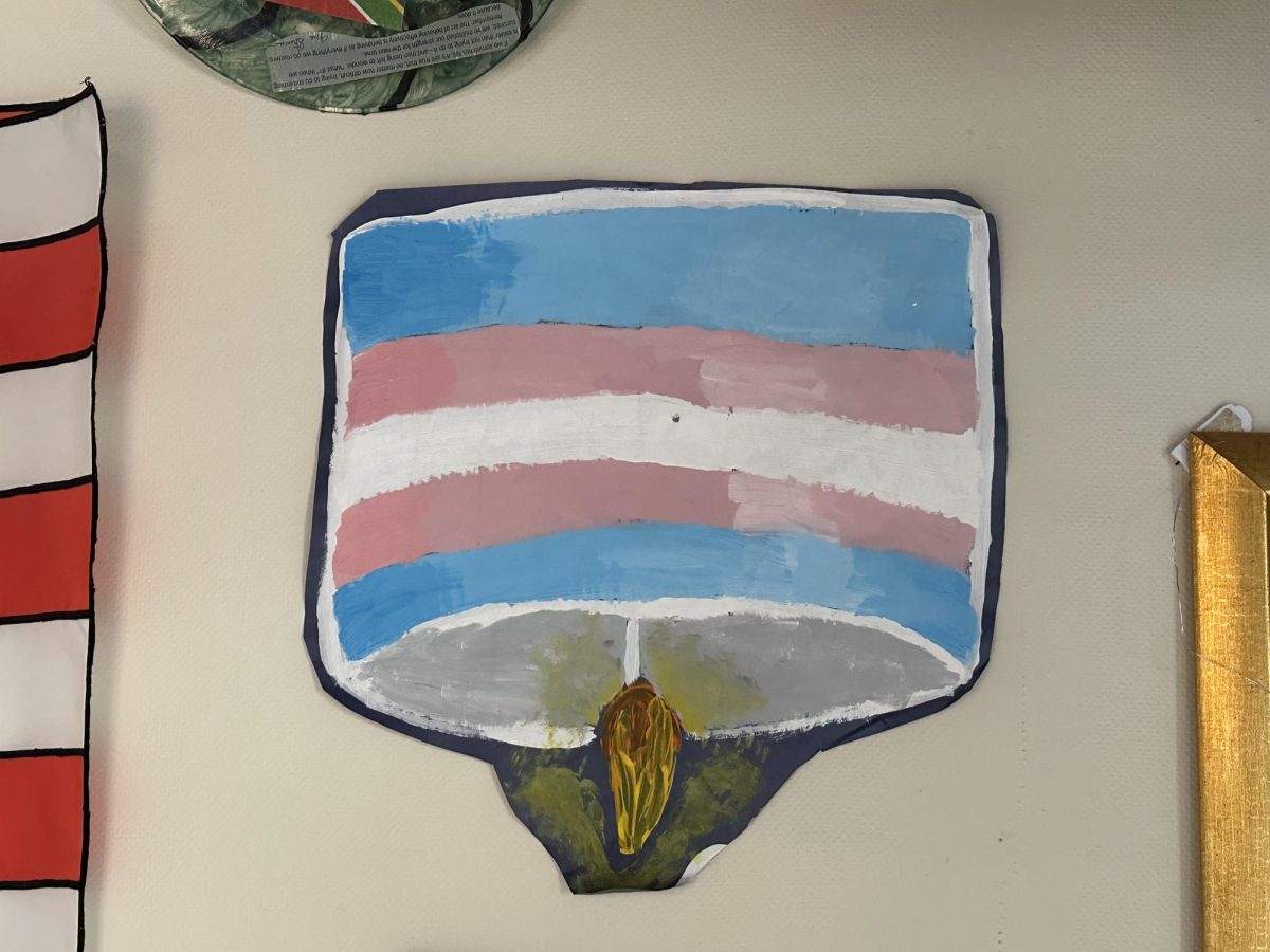 A hand-painted cake, featuring the colors of the trans pride flag, displayed in the Gender and Sexuality Center on the 3rd floor of MCLA's Amsler Campus Center. 